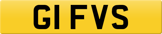 G1FVS