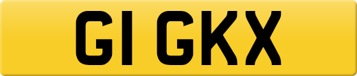 G1GKX