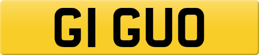 G1GUO