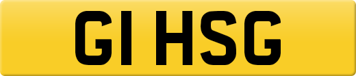 G1HSG