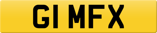 G1MFX