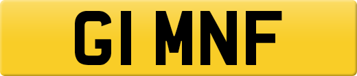 G1MNF