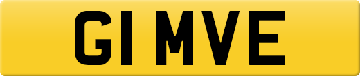 G1MVE