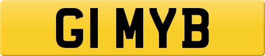 G1MYB