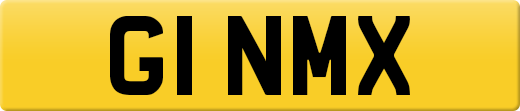 G1NMX