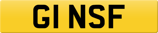 G1NSF