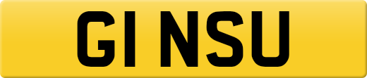 G1NSU