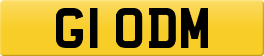 G1ODM