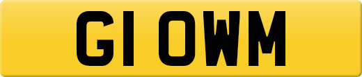 G1OWM