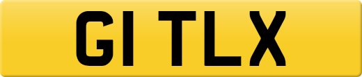 G1TLX