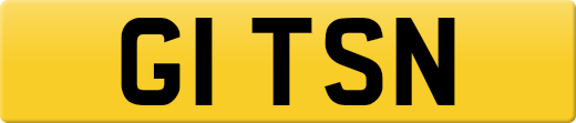 G1TSN