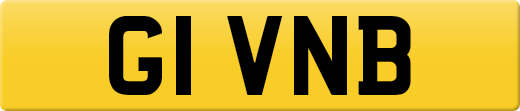 G1VNB