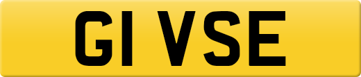 G1VSE