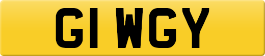 G1WGY