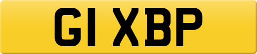 G1XBP