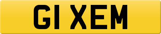 G1XEM