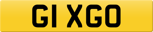 G1XGO