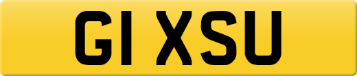 G1XSU
