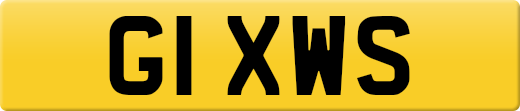 G1XWS