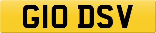 G10DSV
