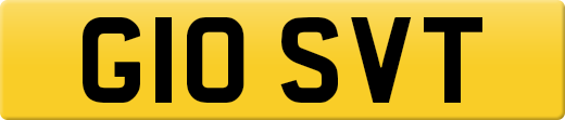 G10SVT