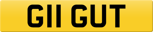 G11GUT