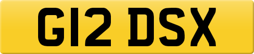 G12DSX