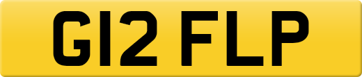 G12FLP