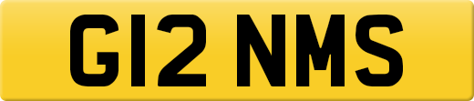 G12NMS