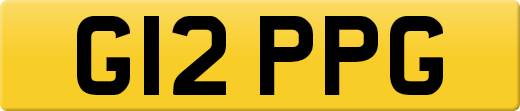 G12PPG