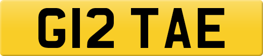 G12TAE
