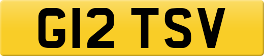 G12TSV