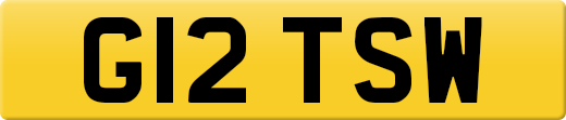 G12TSW