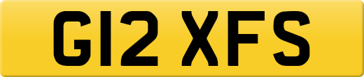 G12XFS