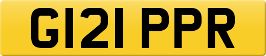 G121PPR