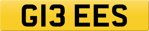 G13EES