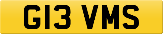 G13VMS
