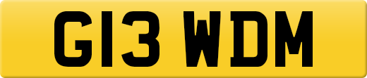 G13WDM