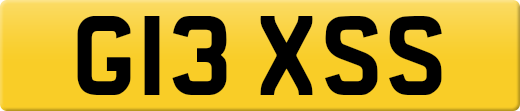 G13XSS