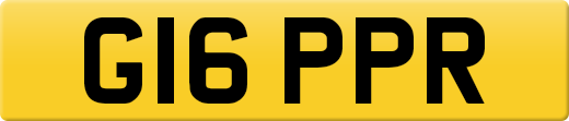 G16PPR