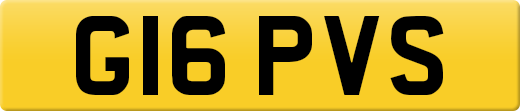 G16PVS