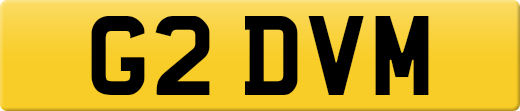 G2DVM