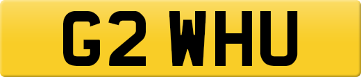 G2WHU