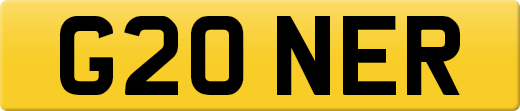 G20NER