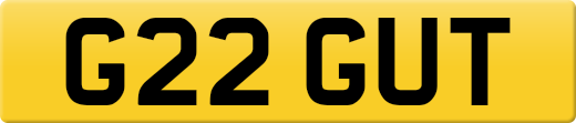 G22GUT