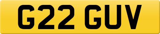 G22GUV