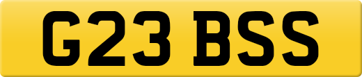 G23BSS