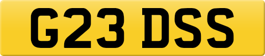 G23DSS
