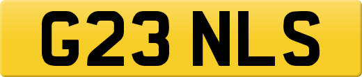 G23NLS