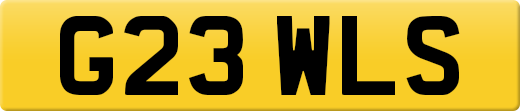 G23WLS